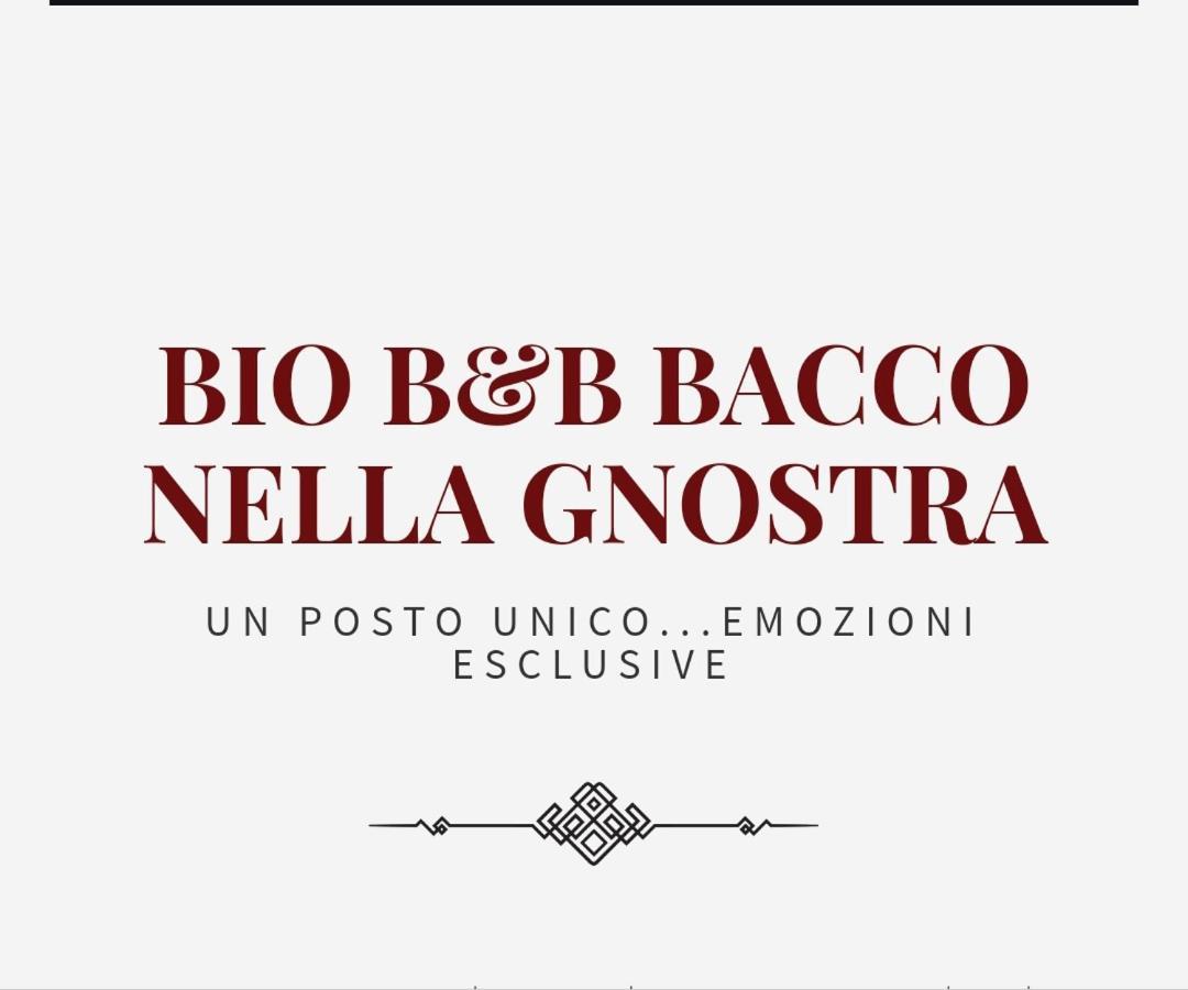 Bio B&B Bacco Nella Gnostra Altamura Zewnętrze zdjęcie